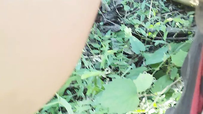 Маленькая Индийская Тёлочка Проникается Сзади Своим Сводным Братом.