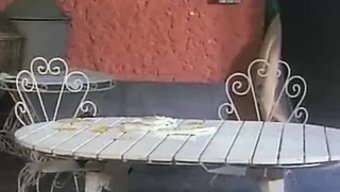 Вид С Высо...